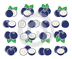 Blueberry logo. Isolated blueberry on white background