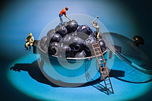 Blueberry miner workers in a pot