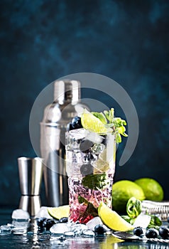 Blueberry Mojito classic alciholic cocktail drink with lime, white rum, soda, cane sugar, mint, and ice in highball glass on deep