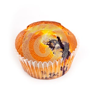 Blueberry muffin photo