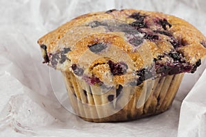 Blueberry Muffin