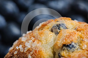 Blueberry Muffin