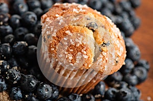 Blueberry Muffin