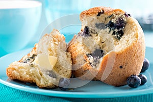 Blueberry Muffin