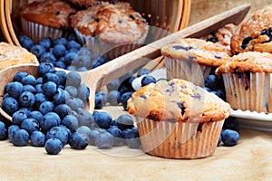 Blueberry Muffins