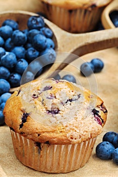 Blueberry Muffins