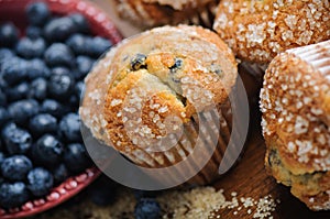 Blueberry Muffins