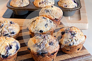 Blueberry muffins baked at home