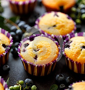 Blueberry muffins on a black background, close-up.