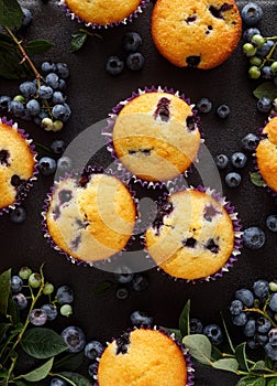 Blueberry muffins on a black background, top view, close-up.