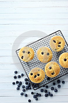 Blueberry Muffins Blueberries Background