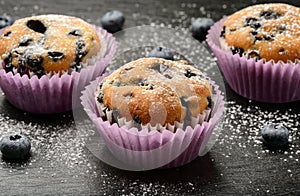 Blueberry muffins and blueberries on black background.