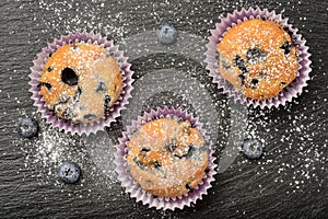 Blueberry muffins and blueberries on black background.