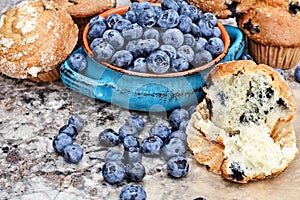 Blueberry Muffins