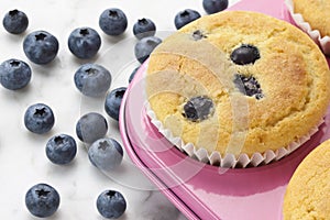 Blueberry Muffins