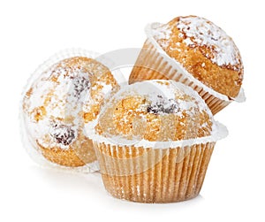 Blueberry muffins close-up isolated on a white background.
