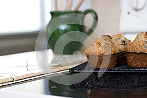 Blueberry Muffins with Crumbly Tops