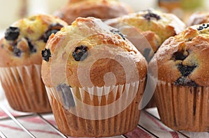 Blueberry muffins