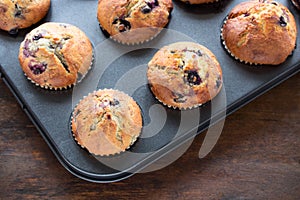 Blueberry muffins