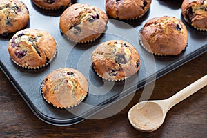 Blueberry muffins photo