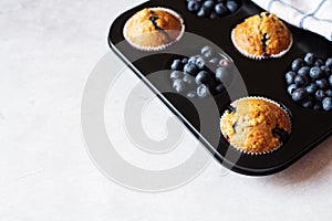 Blueberry muffins on a marble background. Copy space