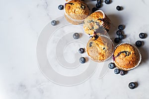 Blueberry muffins on a white marble background