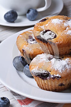 Blueberry muffins on a white plate and coffee vertical