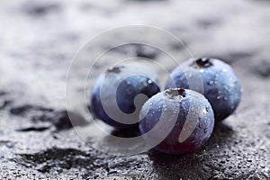 Blueberry (Northern Highbush Blueberry) fruits