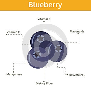 Blueberry nutrient of facts and health benefits, info graphic