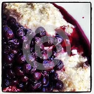 Blueberry On Oatmeal Close-Up