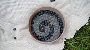 Blueberry in paper basket on picnic