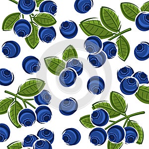 Blueberry pattern background set. Collection icon blueberry. Vector