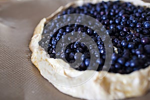 Blueberry pie