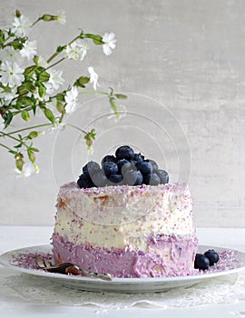 Blueberry pie with cream cheese and coconut flake