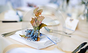Blueberry Place Setting