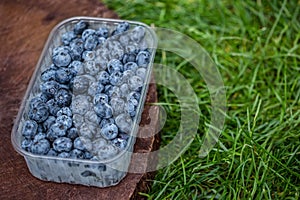 Blueberry in plastic packing