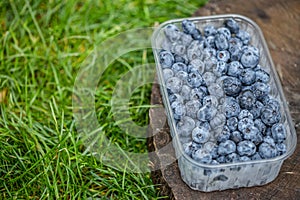 Blueberry in plastic packing