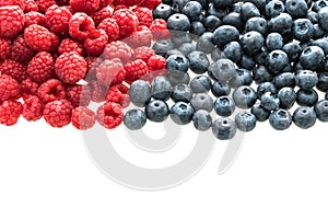 Blueberry and Rasberry fruit