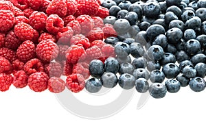 Blueberry and Rasberry fruit