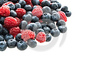 Blueberry and Rasberry fruit