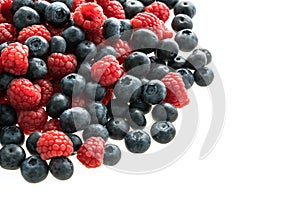 Blueberry and Rasberry fruit