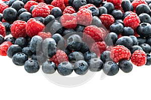 Blueberry and Rasberry fruit