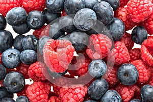 Blueberry and Rasberry fruit