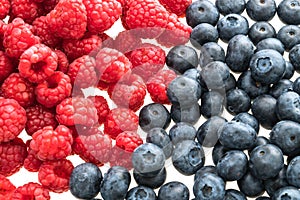 Blueberry and Rasberry fruit