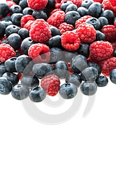 Blueberry and Rasberry fruit