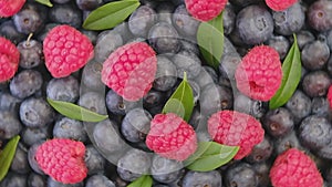 Blueberry and Raspberry with green leaf on rotating backdrop.