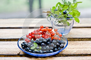 Blueberry and rowanberry lie on a plate on a table in the kitchen