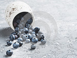 Blueberry scattered with copy space