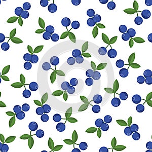 Blueberry seamless pattern. Blueberries repeating on the white bakground