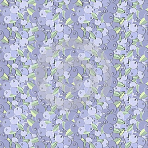 Blueberry seamless pattern stock illustration